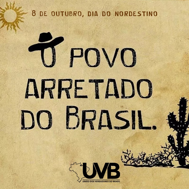 best brasil apostas