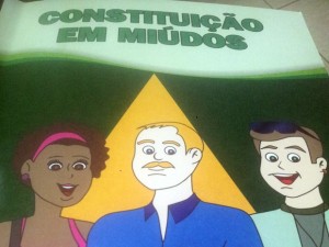 Constituição Em Miúdos