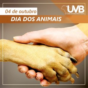 Dia dos Animais é celebrado anualmente em 4 de outubro no Brasil.