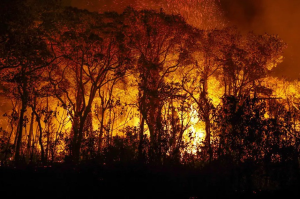 Senadores apresentam projetos para agravar penas em crimes de incêndio